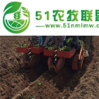樂陵天馬2zq系列蔬菜多功能移栽機(jī)價(jià)格與圖片