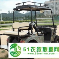 敖翔越野四輪電動(dòng)車(chē)四驅(qū)4座AX-C2-4X4