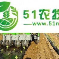 油菜娃娃菜栽苗機(jī)