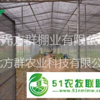 壽光方群蔬菜溫室大棚建設(shè)