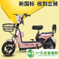 臨沂新標準電動車生產批發(fā)廠家電話
