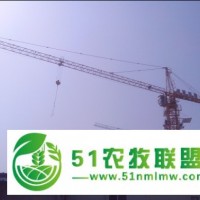 甘南縣塔式起重機**企業(yè),金昌塔機租用