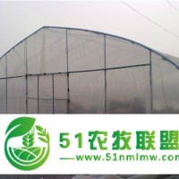 廠家**！批發(fā)價(jià)！質(zhì)量優(yōu)！單體大棚、拱形大棚、蔬菜大棚、農(nóng)用大棚、春秋大棚
