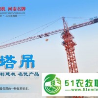 昌利建機塔式起重機塔吊廠家