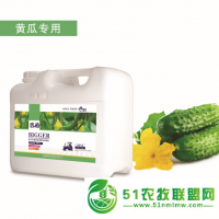 葉面硼肥油菜花生哪種效果好果樹(shù)葡萄李子茶樹(shù)棉花液體肥增產(chǎn)防病花卉肥
