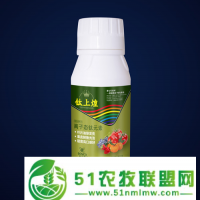 要想果實轉(zhuǎn)色好甜度高*要用對他們