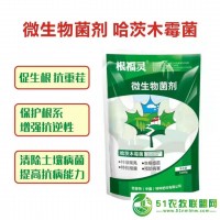 防治大姜爛脖子病
