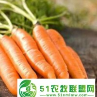 巴迪酵素新品推廣