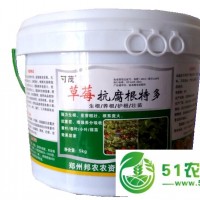 草莓抗腐根特多**草莓不生新根 根腐病 紅中柱根腐病 黃枯萎病好農(nóng)藥