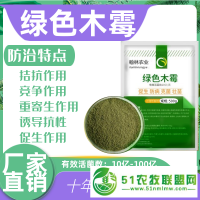 綠色木霉 農(nóng)作物種植種植用菌種 肥料發(fā)酵菌種