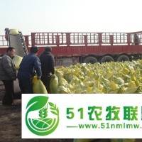 甘肅雞糞附近周邊哪有賣隴南雞糞的一包幾塊錢