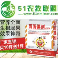 面面俱到+EDTA沖施肥營(yíng)養(yǎng)全面生根膨果型鉀肥水溶性肥料批發(fā)
