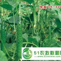 黃瓜種子批發(fā)廠商