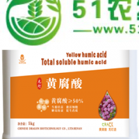 龍燈生物黃腐酸在蔬菜上的應(yīng)用---提高肥效、生根、抗凍
