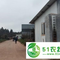 云南成翔農(nóng)業(yè)公司有機(jī)肥生產(chǎn)廠(chǎng)家