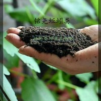 廣東有機土蚯蚓糞怎么賣找156377南陽皓暢83721