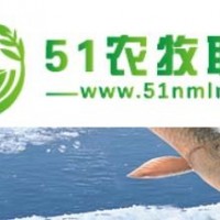 東升脆肉鯇批發(fā)多少錢一斤