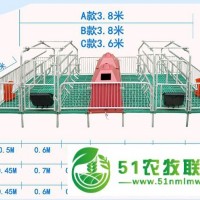 母豬產(chǎn)床張家口養(yǎng)豬設(shè)備熱鍍鋅雙體母豬產(chǎn)床