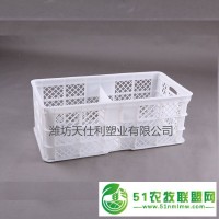 廠家批發(fā)種蛋周轉(zhuǎn)筐 塑料蛋筐批發(fā)廠家 塑料運輸?shù)翱饍r格