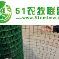 農(nóng)場(chǎng)、果園、圈地養(yǎng)殖養(yǎng)雞圍欄網(wǎng)