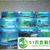 養(yǎng)殖魚池怎么做，石斑魚魚池定做，海水魚要制冷嗎，海水玻璃魚池怎么制冷