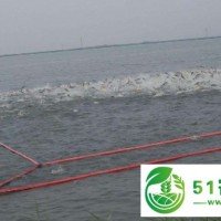 自動(dòng)收魚的太陽能捕魚充氣抬網(wǎng)