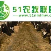 奶牛銷售
