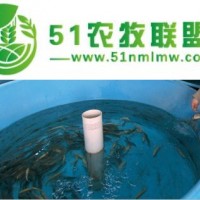 瑞澤*加工養(yǎng)殖設(shè)備玻璃鋼魚(yú)苗孵化池2000*500mm玻璃鋼廠家批發(fā)
