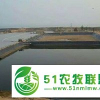 銷售許昌鄭州耐酸堿腐蝕排污池厚塑料膜，廠家,價格,焊接