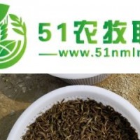 長(zhǎng)沙泥鰍養(yǎng)殖基地，泥鰍種苗價(jià)格