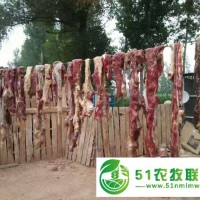 敖漢旗笨豬肉銷售，敖漢旗笨豬肉價格
