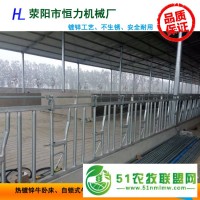 大量**供應(yīng)牛頸枷各種規(guī)格牛頸夾廠家定制