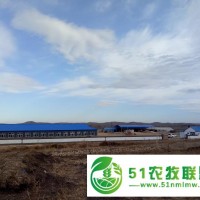 興安盟肉牛養(yǎng)殖 興安盟肥牛養(yǎng)殖