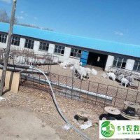 扎賚特旗*生豬養(yǎng)殖場(chǎng)