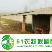襄陽土元養(yǎng)殖可以選擇啟航養(yǎng)殖場