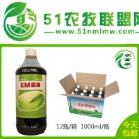 EM菌液在豬養(yǎng)殖中的具體應(yīng)用|鄭州養(yǎng)豬*em益生菌em菌液飲水保健液怎么購(gòu)買
