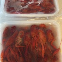 合肥清水凍蝦****批發(fā)價格