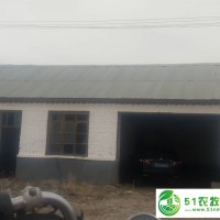阿榮旗*肥牛養(yǎng)殖場