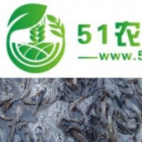 養(yǎng)殖泥鰍一畝要投資價(jià)格，泥鰍苗的價(jià)格