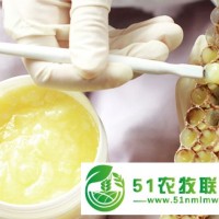 彰武縣蜂王漿銷(xiāo)售，彰武縣蜂王漿價(jià)格