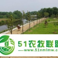 商河縣生態(tài)農(nóng)業(yè)觀光、旅游_