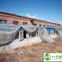 訥河市*生豬養(yǎng)殖 訥河生豬養(yǎng)殖場(chǎng)