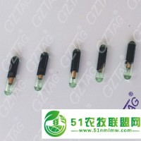 1.4*8mm動物芯片標(biāo)簽，種魚PIT標(biāo)記,魚類植入芯片,防止近親繁殖,優(yōu)化基因