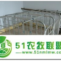 養(yǎng)豬設(shè)備母豬定位欄養(yǎng)殖設(shè)備住欄母豬定位欄