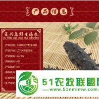 海參抗霾的功效你知道嗎