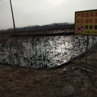 章丘市白云湖魚苗養(yǎng)殖
