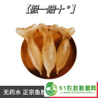 金龍魚膠一斤多少錢花膠哪里又買印尼白花膠