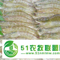 對蝦養(yǎng)殖怎么樣對蝦養(yǎng)殖賺錢嗎？
