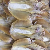 墨魚(yú)干批發(fā)廠家 淡曬墨魚(yú)干 小墨魚(yú)干 大墨魚(yú)干批發(fā) 廠家批發(fā)墨魚(yú)干