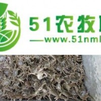 盤錦錦蟹農(nóng)莊河蟹蟹苗扣蟹批發(fā)提供養(yǎng)殖技術(shù)